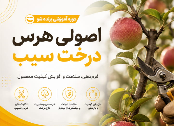 دوره کشاورزی درخت سیب