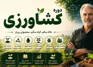 چگونه مزرعه خود را بسازیم