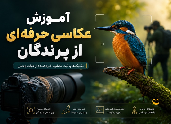 دوره آموزش عکاسی پرندگان