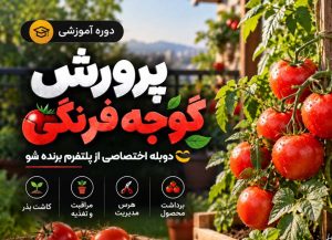 دوره پرورش گوجه‌فرنگی